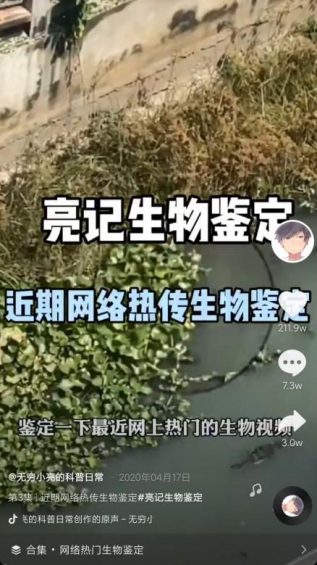 932 抖音7天吸粉111万，(拼多多涨粉网站)，揭机要《无穷小亮》的涨粉科普日常！