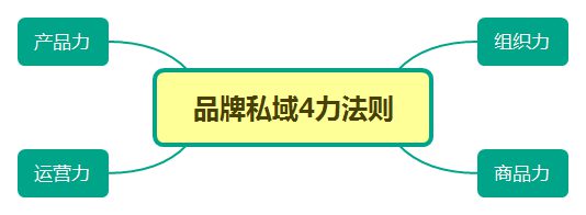 58 钟薛高、东鹏特饮是怎么崛起的？5步透析新品牌成长路径