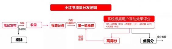 731 如何利用小红书搜索位引流精准粉丝？