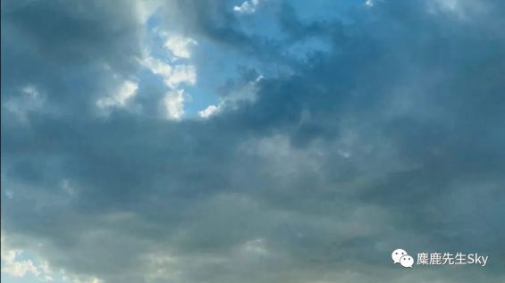 小红书入场视频号!你们好奇的新玩法都在这里了 80 小红书入场视频号!你们好奇的新玩法都在这里了