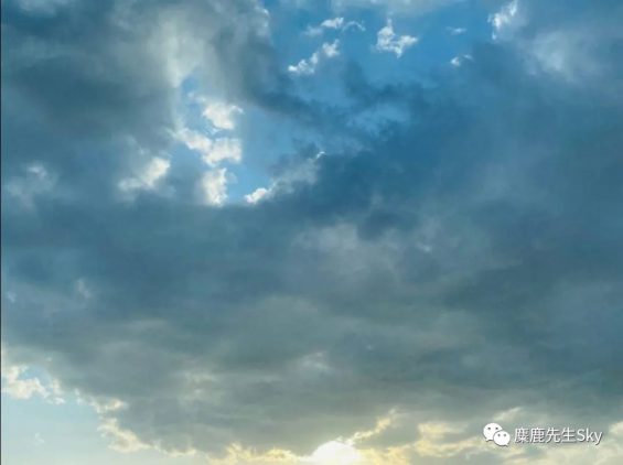 小红书入场视频号!你们好奇的新玩法都在这里了 81 小红书入场视频号!你们好奇的新玩法都在这里了