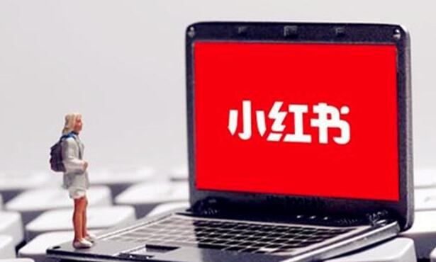 关于小红书养号的技巧已经都在这里了!