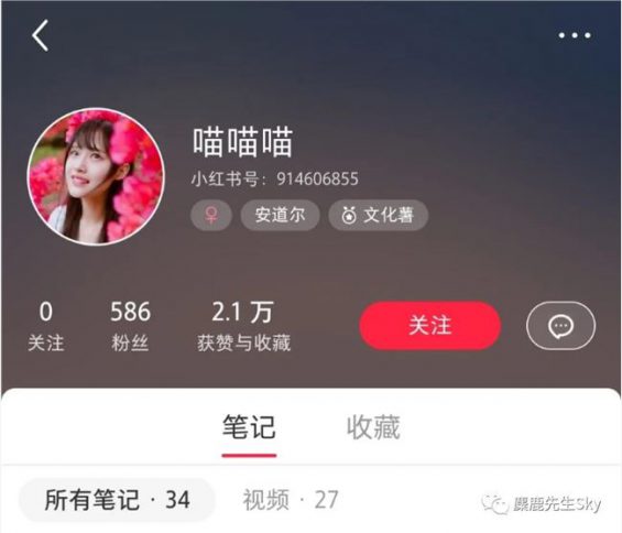 一篇带你搞懂小红书背景图新套路! 263 一篇带你搞懂小红书背景图新套路!