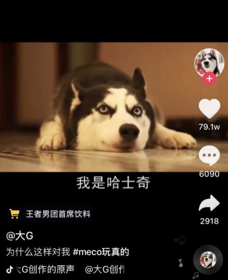 抖音吸粉大号养成记:快速吸粉——他们是这么做的 a2349 抖音吸粉大号养成记:快速吸粉——他们是这么做的