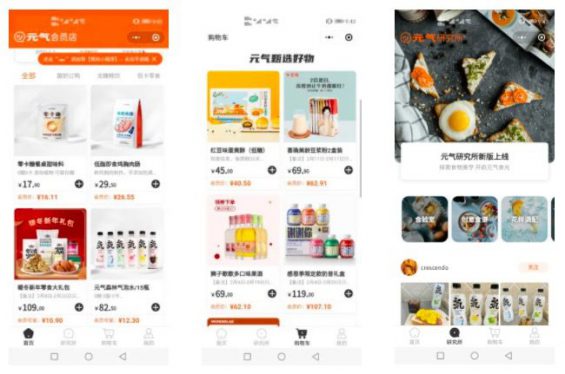 自救照旧增长?揭机要元气丛林的私域机关 60 自救照旧增长?揭机要元气丛林的私域机关