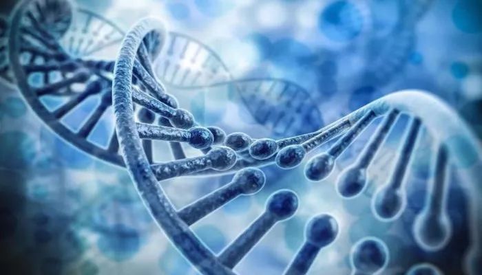 被传得神乎其神的「抖音算法」,了解一下?(内附算法推导图) 被传得神乎其神的「抖音算法」,了解一下?(内附算法推导图)