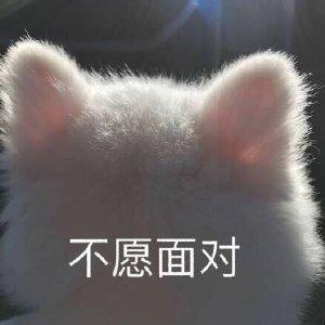 店淘模式绝处逢生,风雅化运营技能如果何才华新店有客户