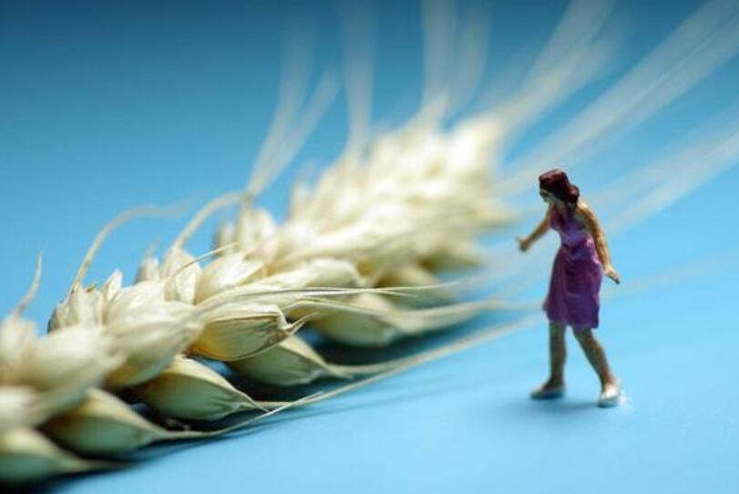 农产物品牌营销难做的主要原因是什么?