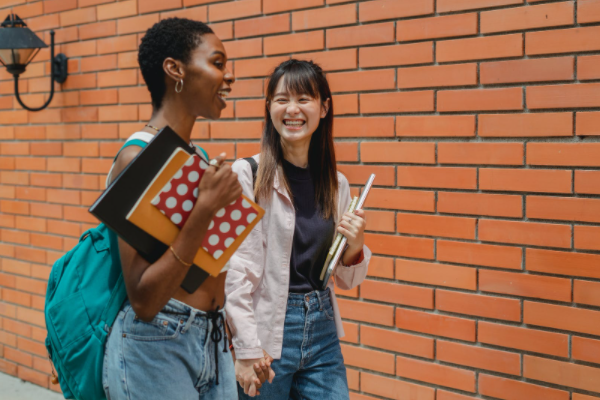 淘宝同盟引流人数为什么会掉？什么是淘宝同盟引流人数？