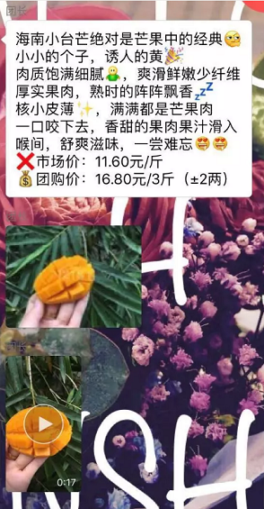 1 569 社区版的拼多多，比顺丰每日优鲜更贴糊口的生鲜电商模式
