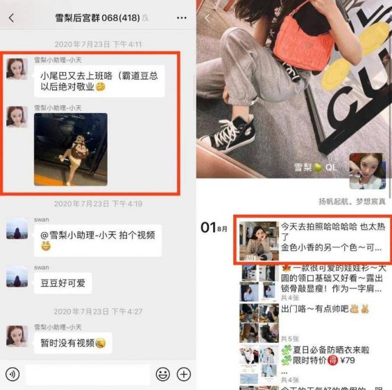 卧底了20个红人主播社群,我总结了薇娅、李佳琦、散打哥的私域模式 245 卧底了20个红人主播社群,我总结了薇娅、李佳琦、散打哥的私域模式