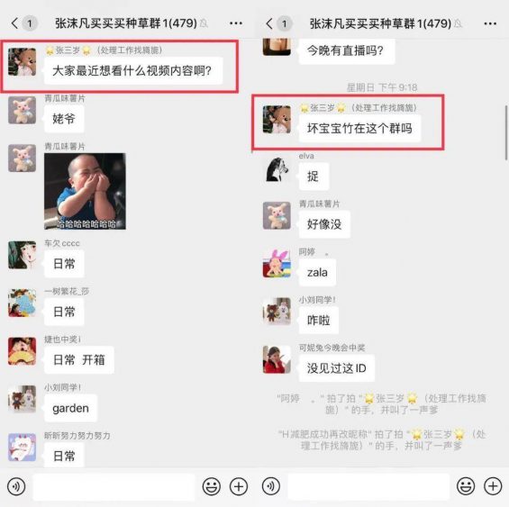 卧底了20个红人主播社群,我总结了薇娅、李佳琦、散打哥的私域模式 285 卧底了20个红人主播社群,我总结了薇娅、李佳琦、散打哥的私域模式