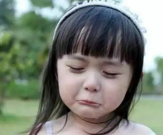 一个小商家给京东开放平台的七条发起,全是含泪挚言!