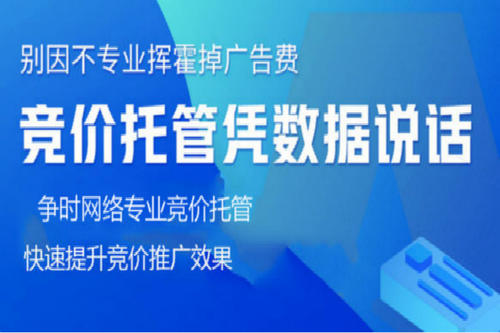 竞价推广 竞价推广