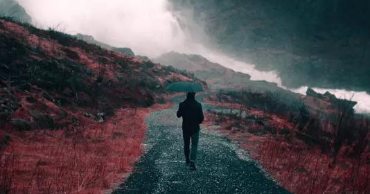 直播半年,人间三年