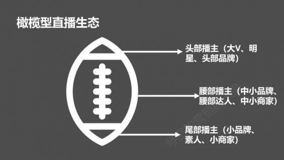 直播半年,人间三年 直播半年,人间三年