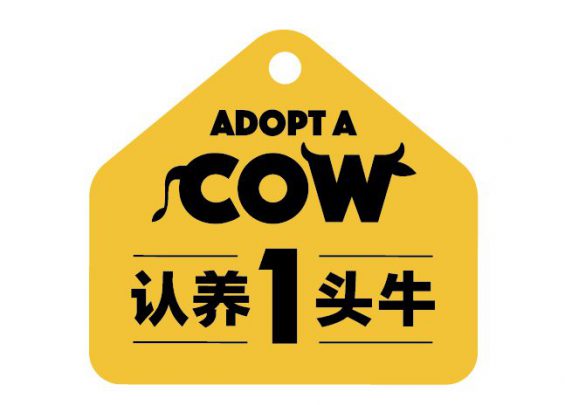 New Balance 9800万买来的教训:一个好商标对企业究竟有多重要? 1671 New Balance 9800万买来的教训:一个好商标对企业究竟有多重要?