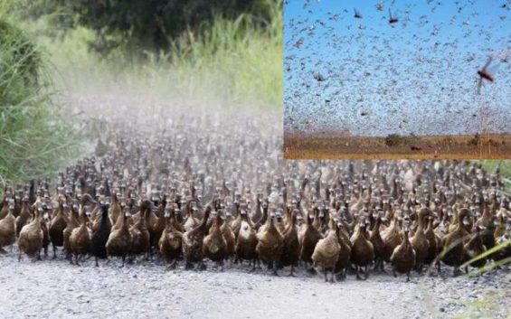 4个月短视频实操,我放弃了直接追求爆款 461 4个月短视频实操,我放弃了直接追求爆款