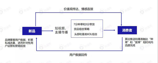 直播带货的黄金组合策略:这份新报告答的都是好问题 175 直播带货的黄金组合策略:这份新报告答的都是好问题