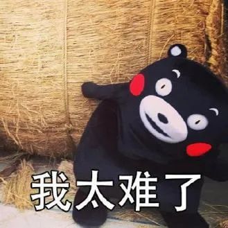 鸟哥笔记,信息流,九枝兰,策略,渠道,起量