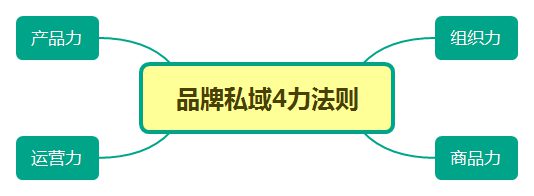 58 钟薛高、东鹏特饮是怎么崛起的？5步透析新品牌成长路径