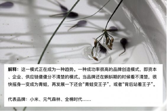 新品牌打造的六种常见“套路” 261 新品牌打造的六种常见“套路”