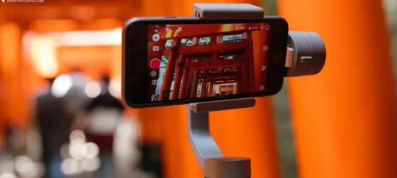 7天涨粉超百万,这些账号都做了什么?