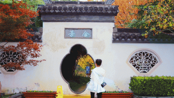 拍短视频的10种技巧!新手博主想涨粉赚钱必看!2000字干货 14 拍短视频的10种技巧!新手博主想涨粉赚钱必看!2000字干货